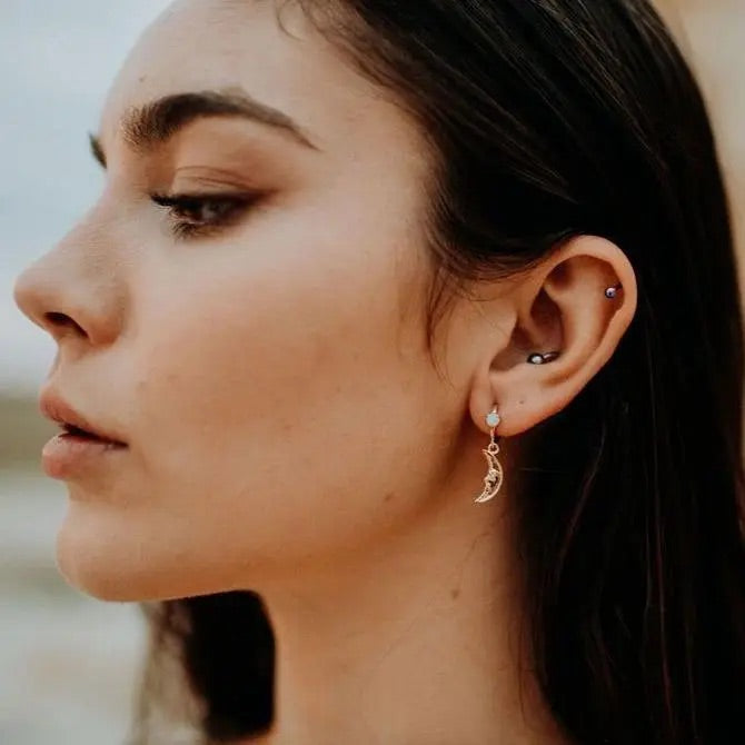 
            
                Load image into Gallery viewer, Harmony in the Air Earrings
            
        